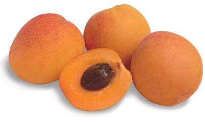 Apricot 3