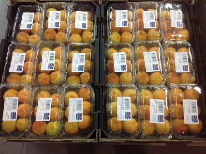 Pre packed apricots