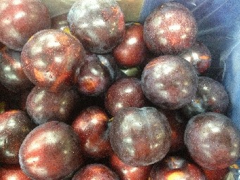 plums 